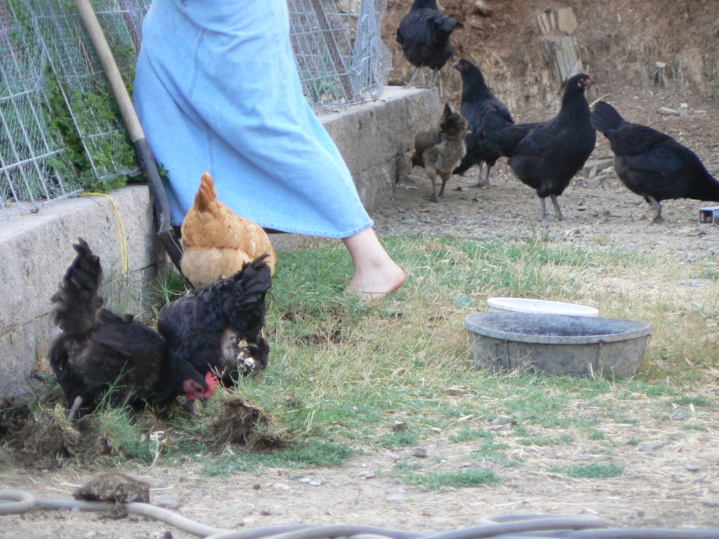 Kids Helping in the Garden