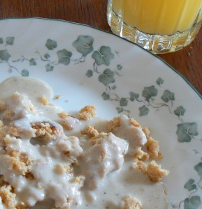 Biscuit Mix