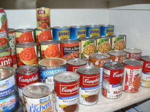 pantry shelf organizer