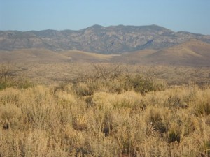 Aravaipa Canyon
