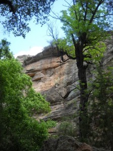 Aravaipa Canyon