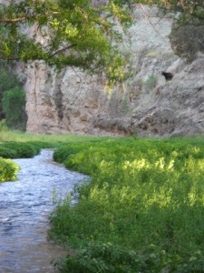 Aravaipa Canyon