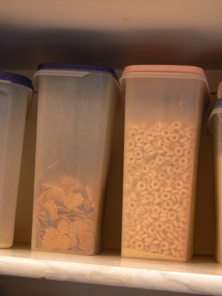 Bulk Cereal Containers