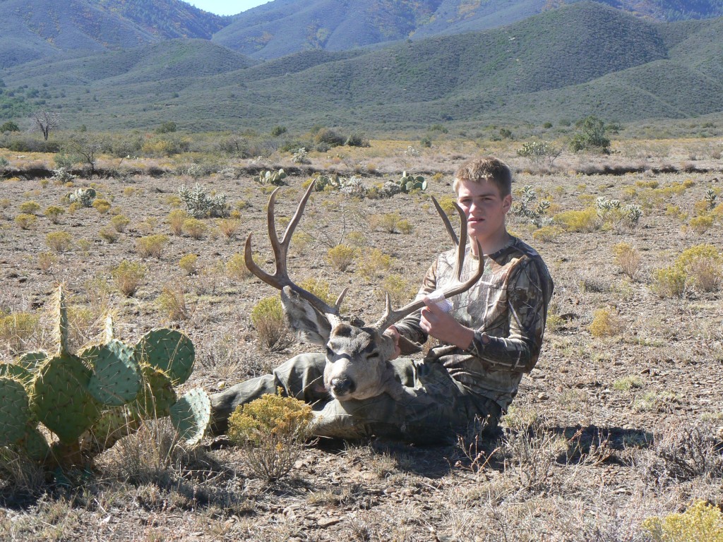 Arizona Mule Buck