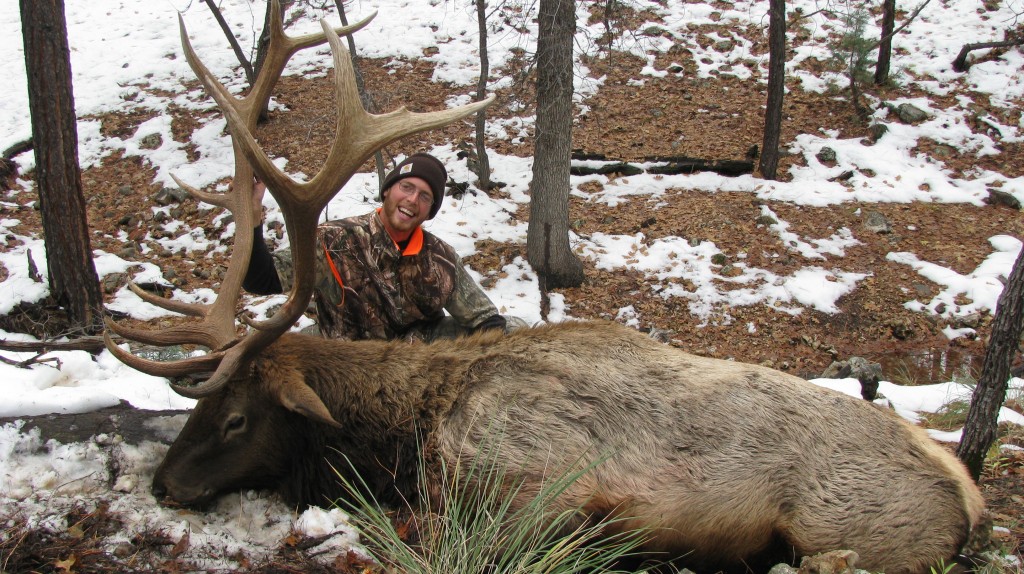 Arizona Bull Elk Hunt