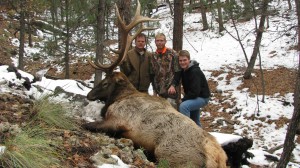 Arizona Bull Elk Hunt