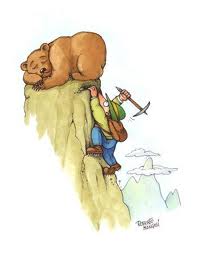 mountain climber with bear
