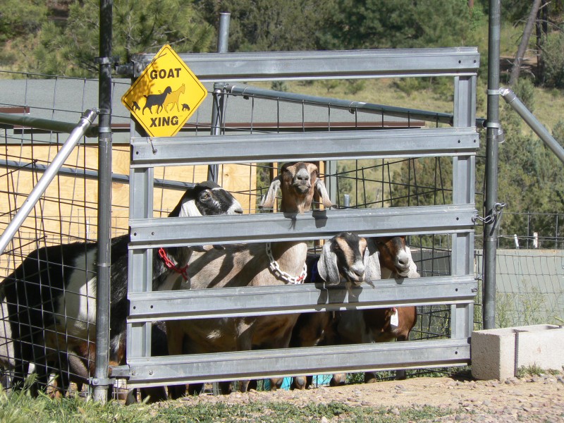 Fossil Creek Creamery