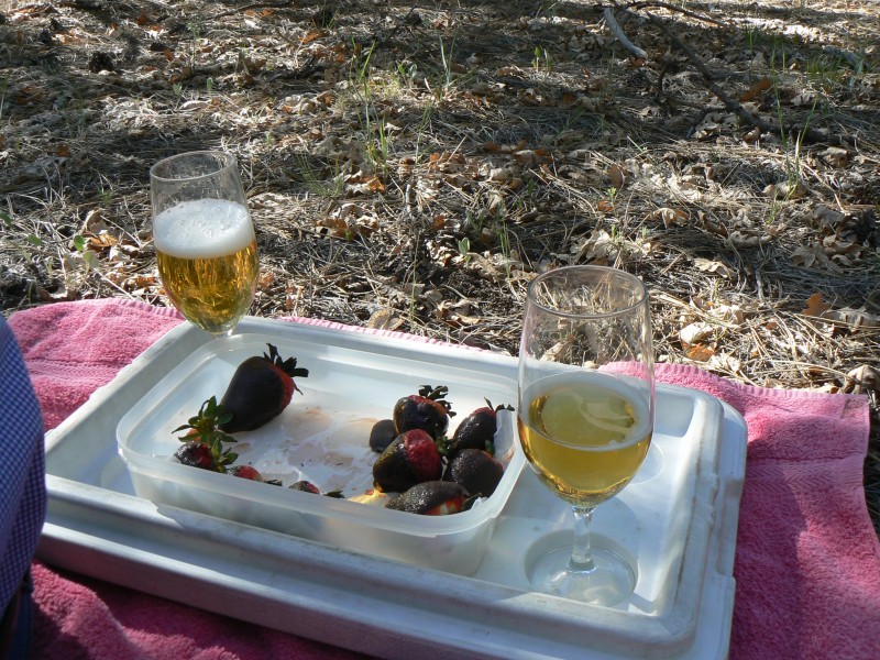 anniversary picnic
