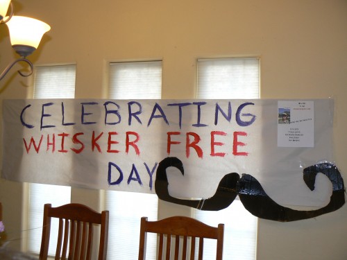 whisker-free day