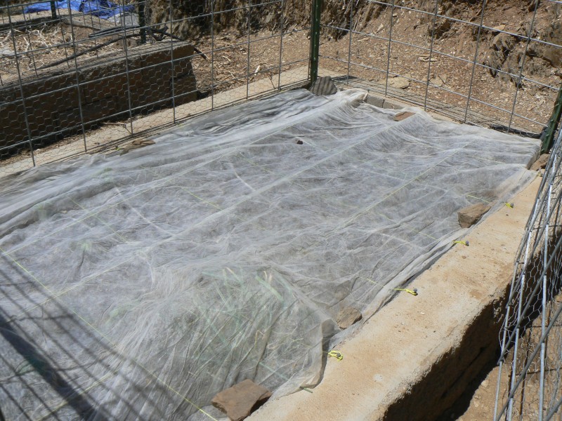 row cover on okra