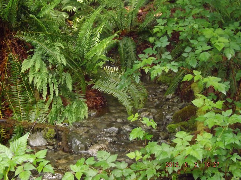 pitt river hike