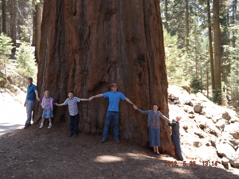 sequoia national park