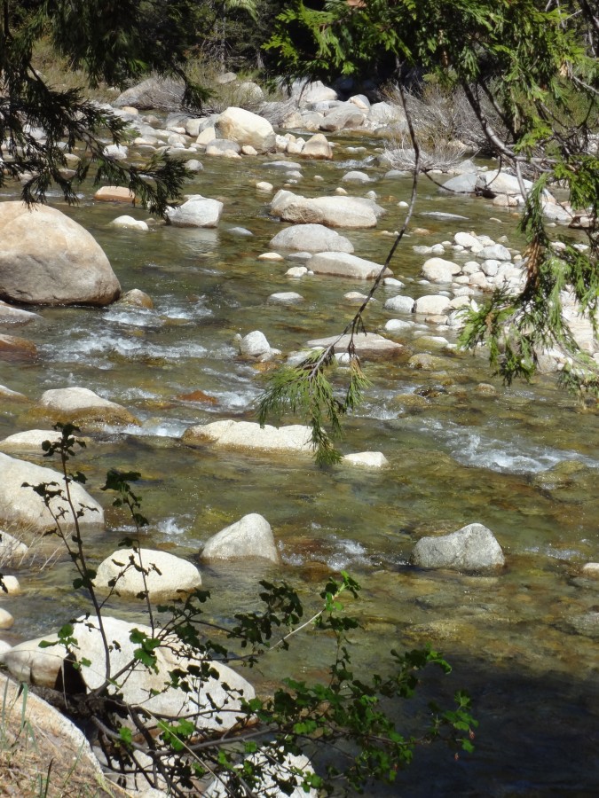 Sequoia National Park