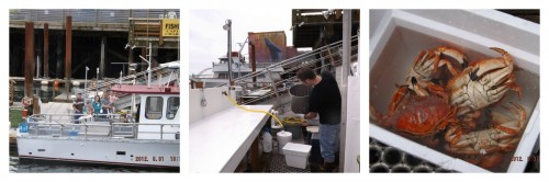 cooking crab newport, oregon