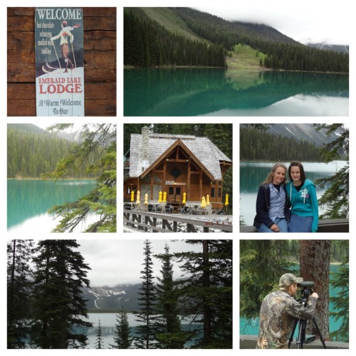 emerald lake canadian rockies