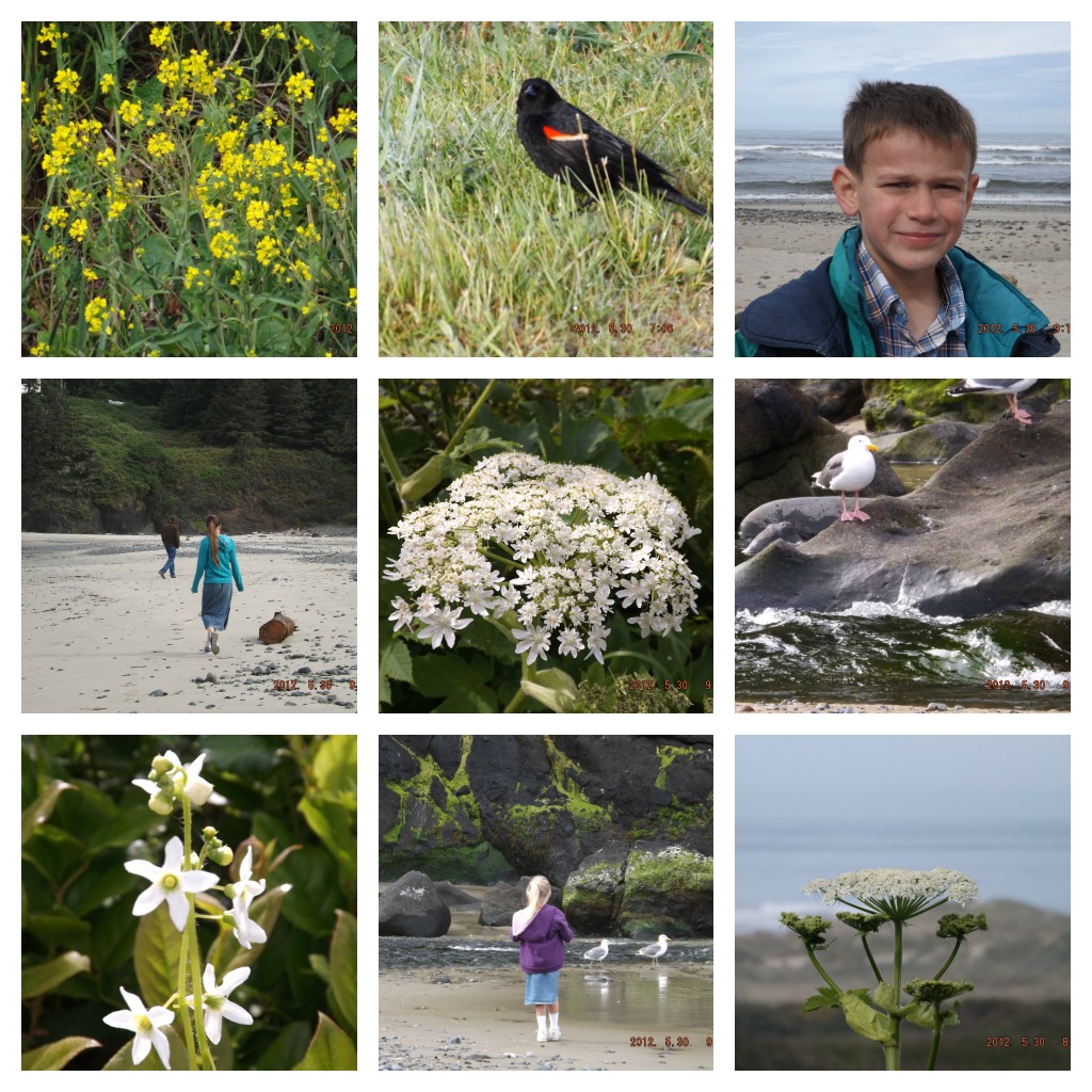 Oregon collage