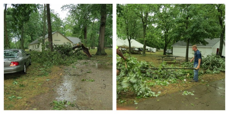 trees snapped in half