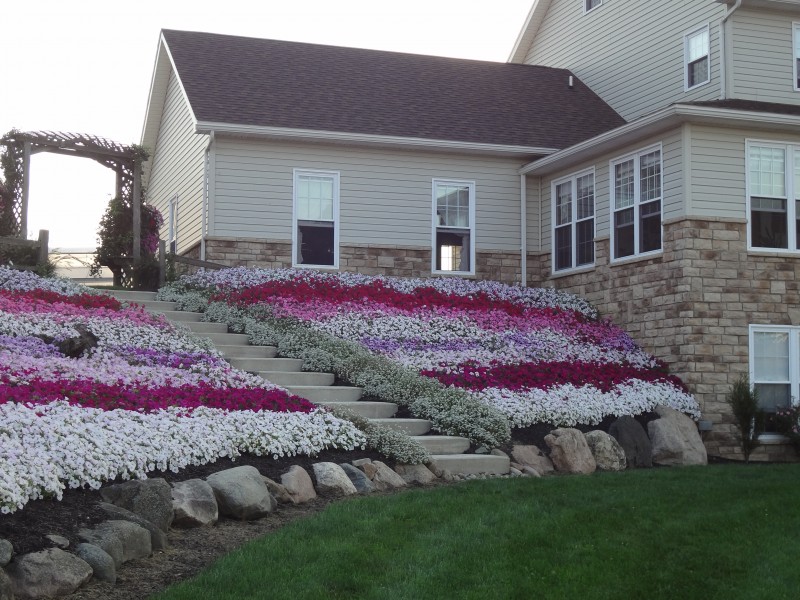 Amherst Nursery