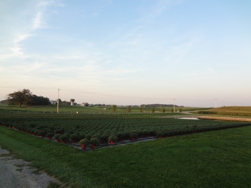 DSC02377