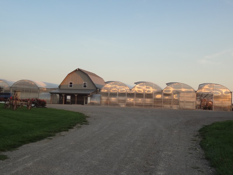 Amherst Greenhouse