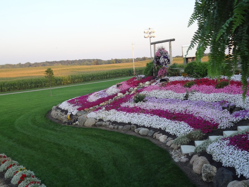 Amherst Greenhouse