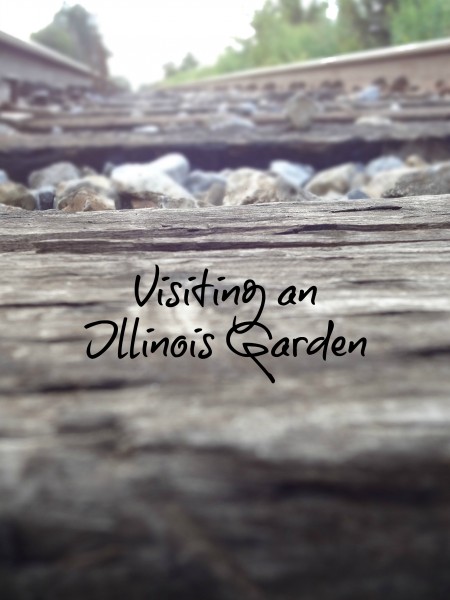 Illinois Garden