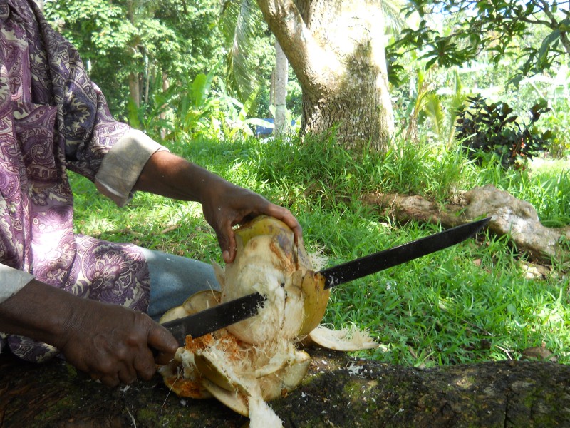 slicing a coconut