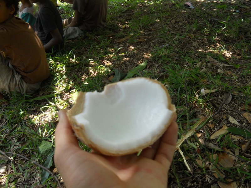 DSCN0564 fresh coconut