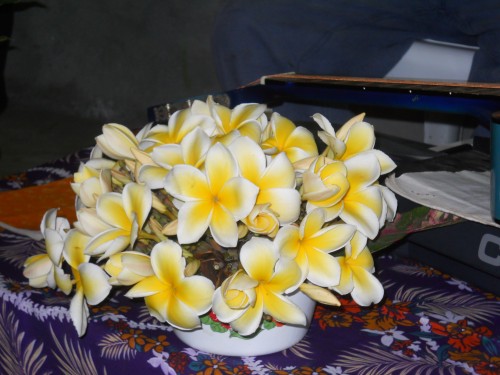 DSCN0841