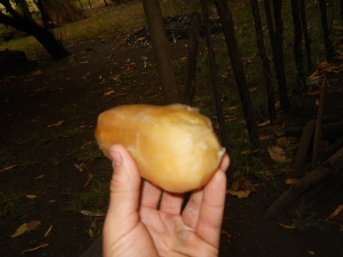 DSCN0906