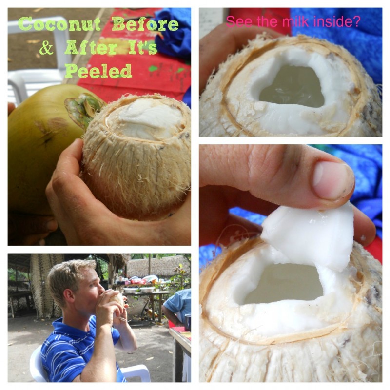 drinking fresh coconut milk