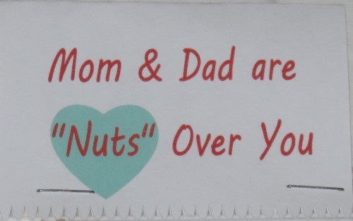 Valentine's Day I'm nuts over you