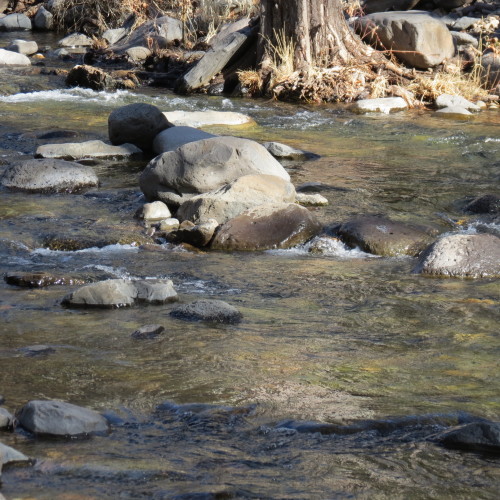 oak creek canyon, sedona, az