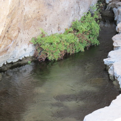 montezuma well