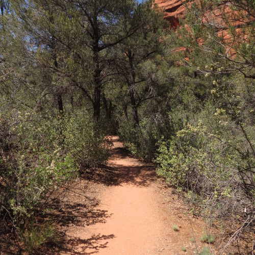 Honanki Indian Ruins trail