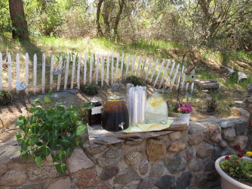 outdoor bridal shower
