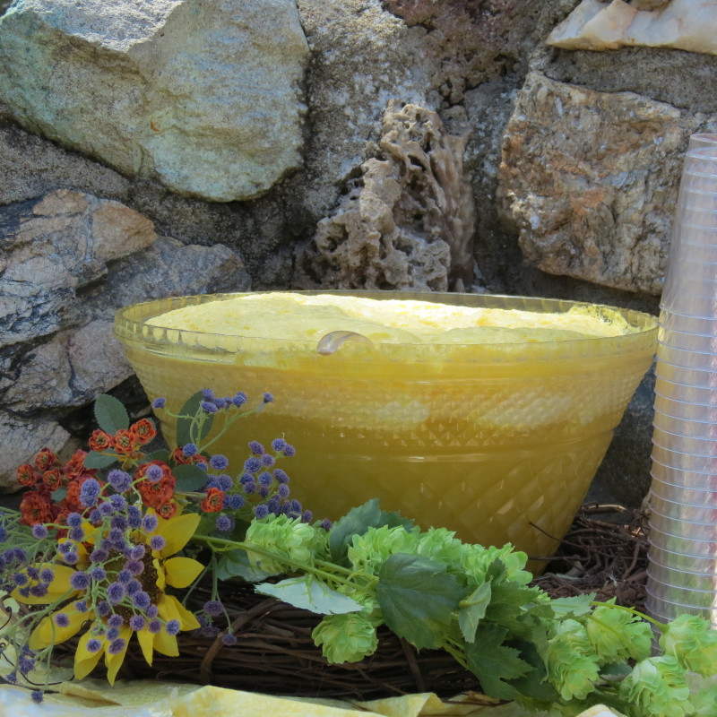 outdoor bridal shower