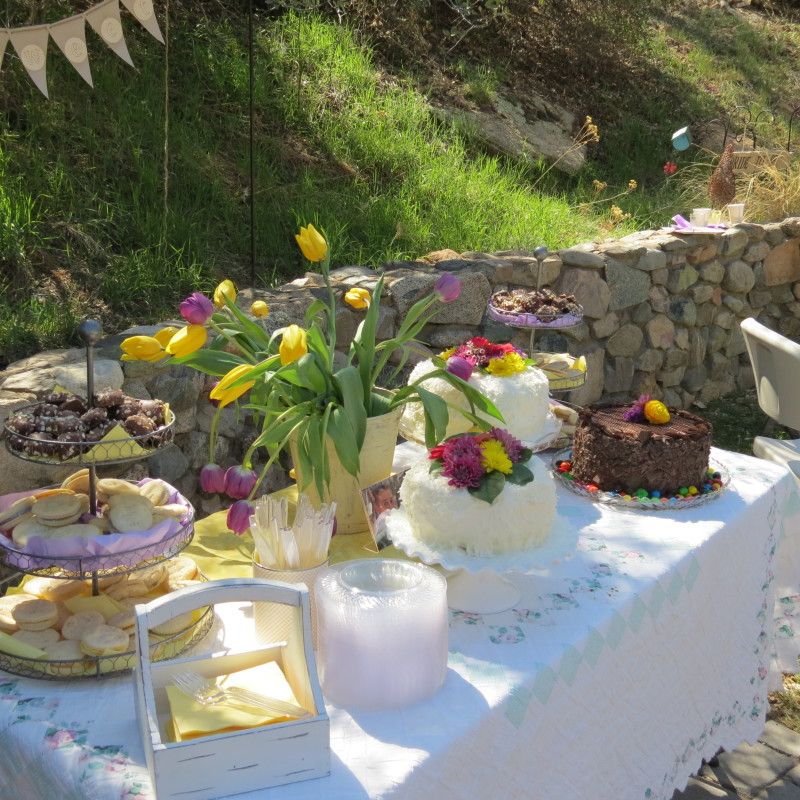 outdoor bridal shower
