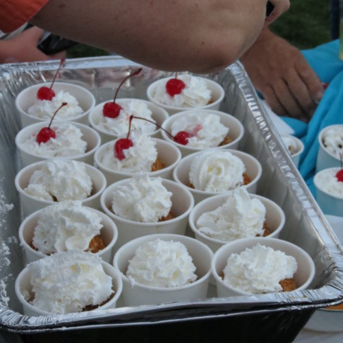 fried ice cream