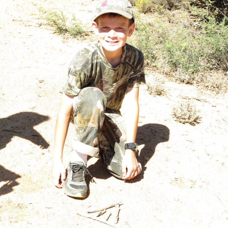 trail markers