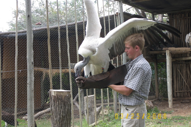 vulture - Moholoholo where Brian Jones lives