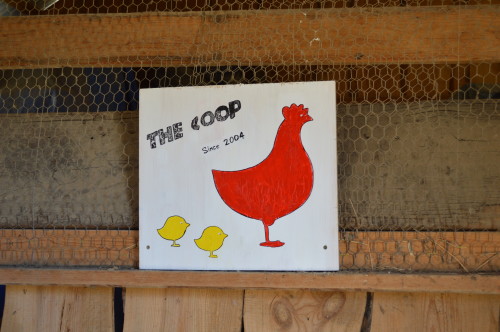 painting chicken art for coop