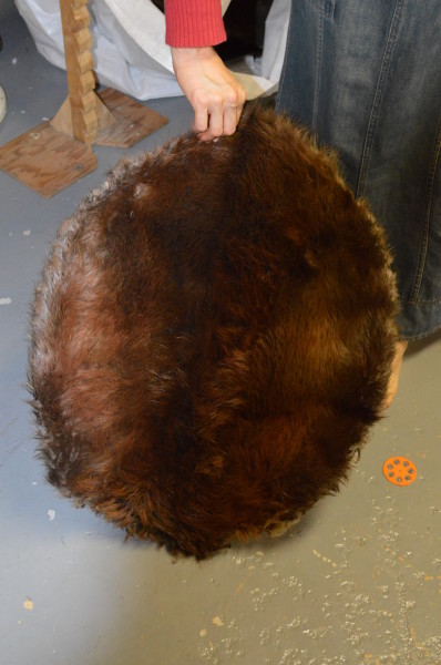 beaver skin