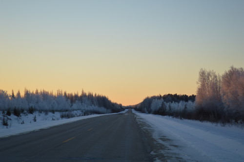 hoar frost