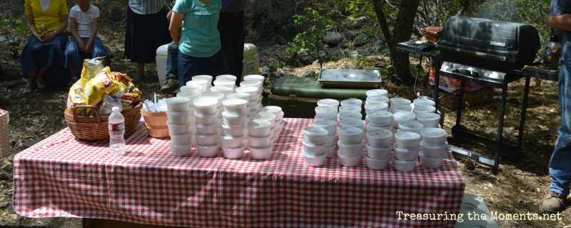 treasuringthemoments.net picnic