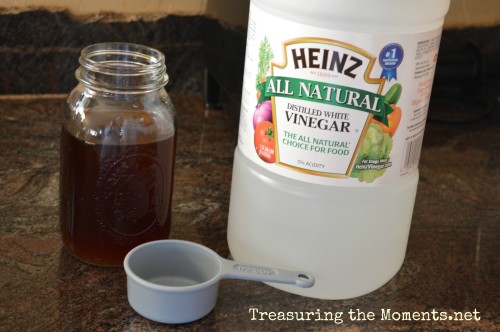 treasuringthemoments.net make your own kombucha