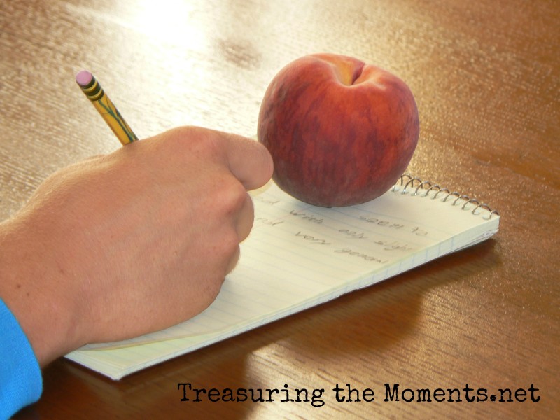 treasuringthemoments.net writing homeschool