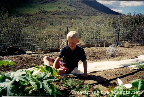 homeschooling at a young age