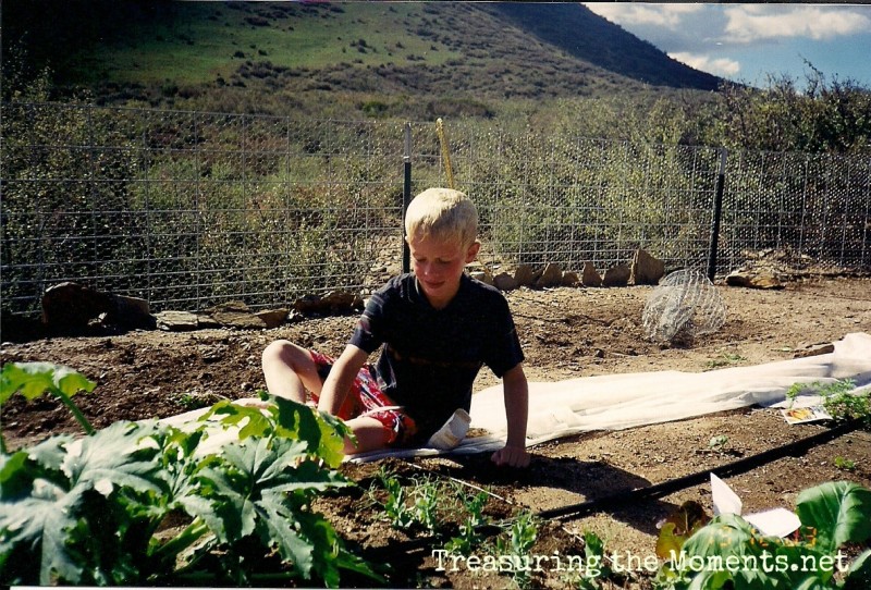 homeschooling at a young age